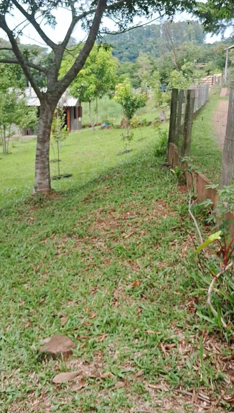 481831022_122112032372741869_4709548024581043925_n