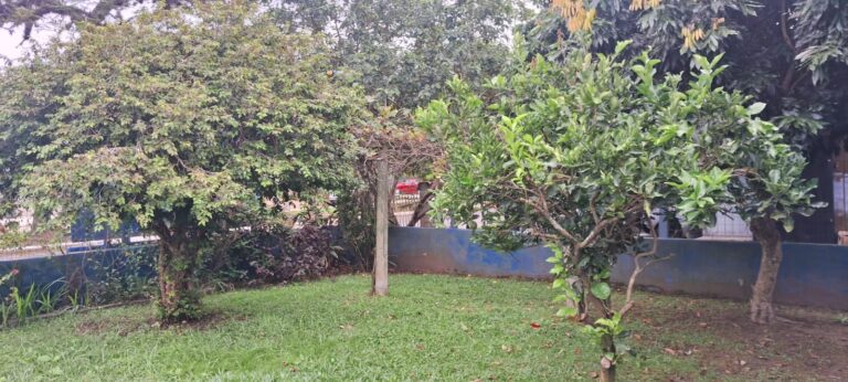 502469102_122127600434741869_6790630177137542998_n