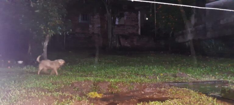 509071711_122130318170741869_5224622556504492134_n